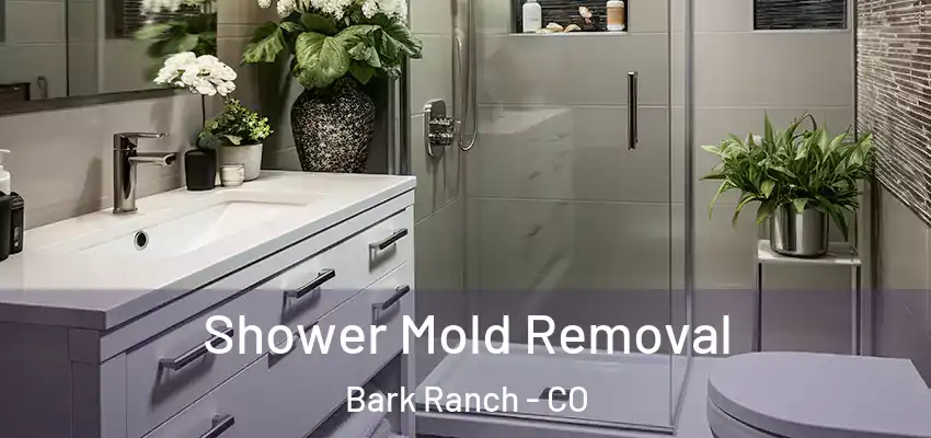  Shower Mold Removal Bark Ranch - CO