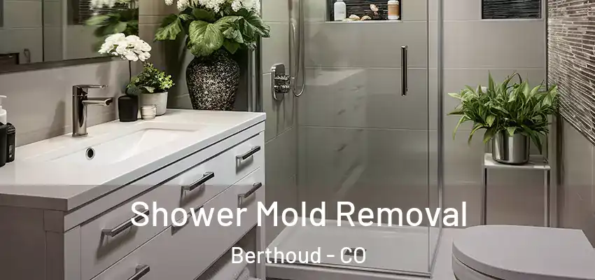  Shower Mold Removal Berthoud - CO
