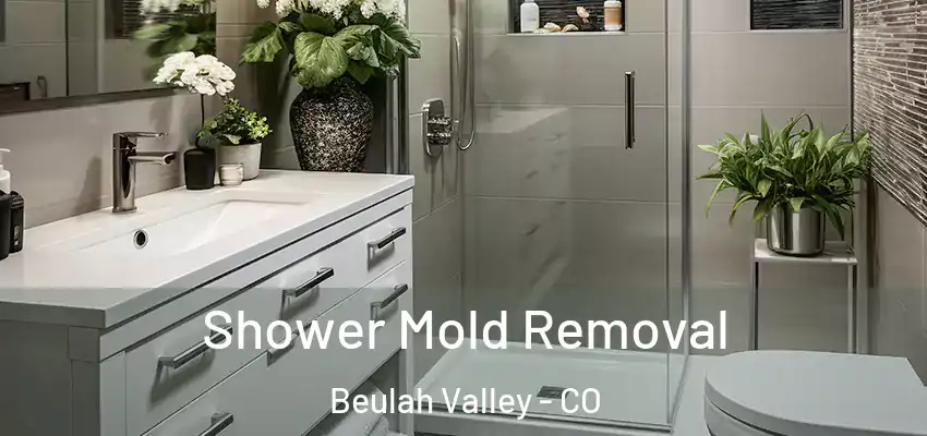  Shower Mold Removal Beulah Valley - CO