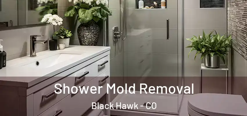  Shower Mold Removal Black Hawk - CO