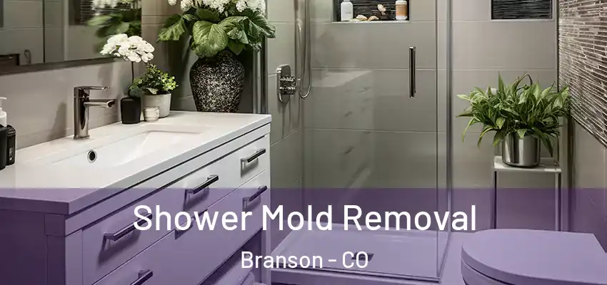  Shower Mold Removal Branson - CO