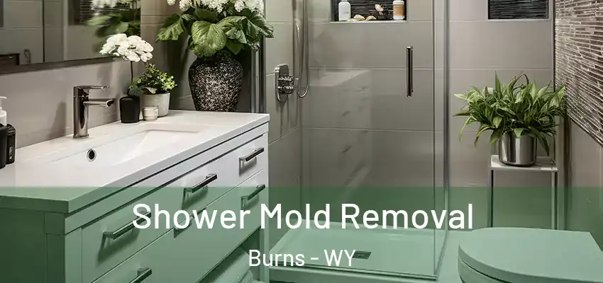  Shower Mold Removal Burns - WY