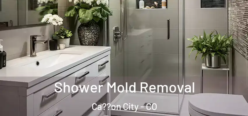  Shower Mold Removal Ca??on City - CO