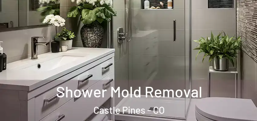  Shower Mold Removal Castle Pines - CO