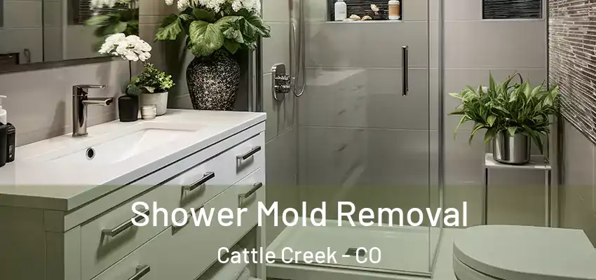  Shower Mold Removal Cattle Creek - CO