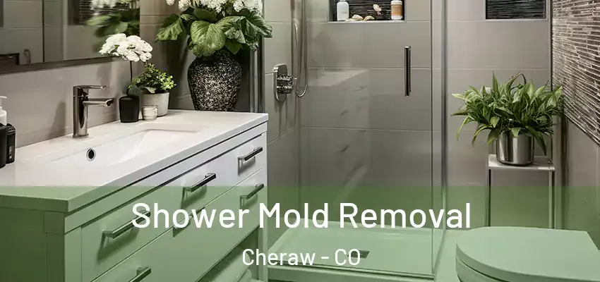  Shower Mold Removal Cheraw - CO