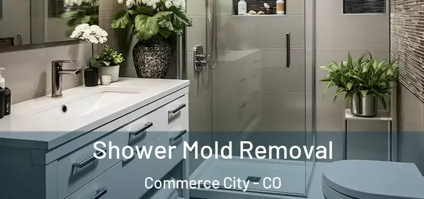 Shower Mold Removal Commerce City - CO