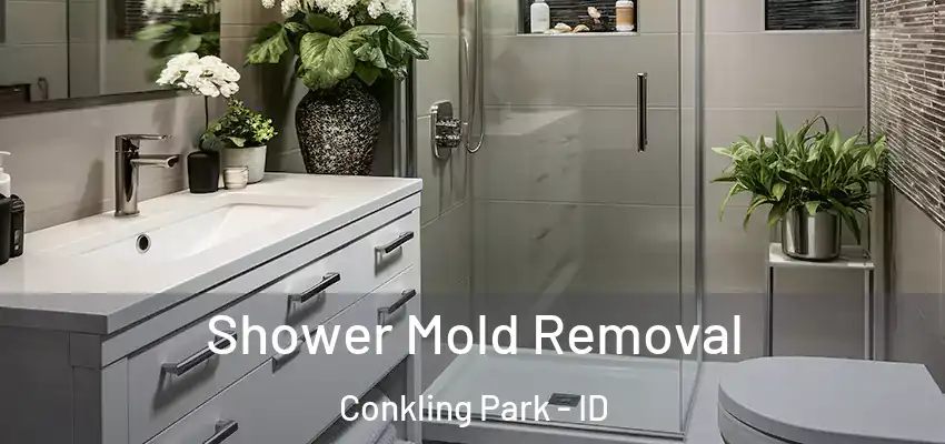  Shower Mold Removal Conkling Park - ID
