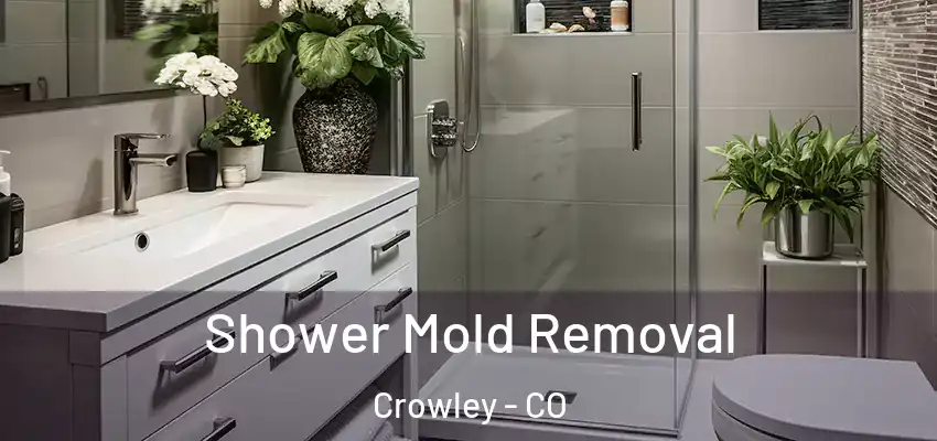  Shower Mold Removal Crowley - CO