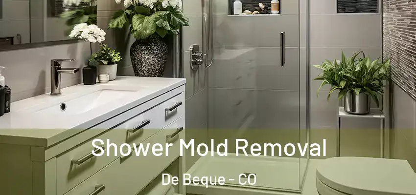 Shower Mold Removal De Beque - CO