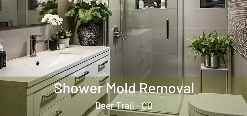 Shower Mold Removal Deer Trail - CO