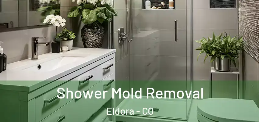  Shower Mold Removal Eldora - CO