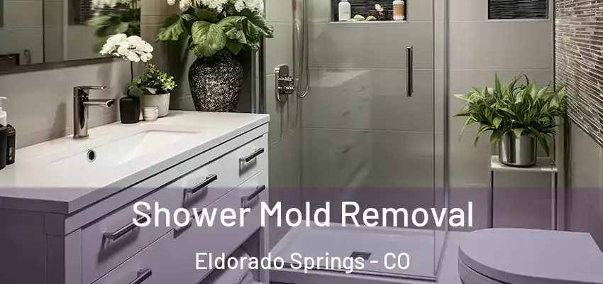  Shower Mold Removal Eldorado Springs - CO