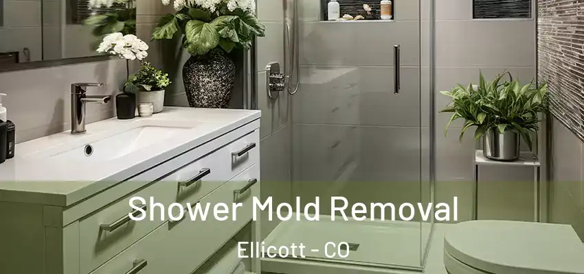 Shower Mold Removal Ellicott - CO