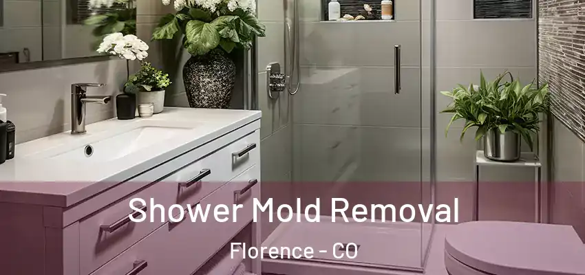 Shower Mold Removal Florence - CO