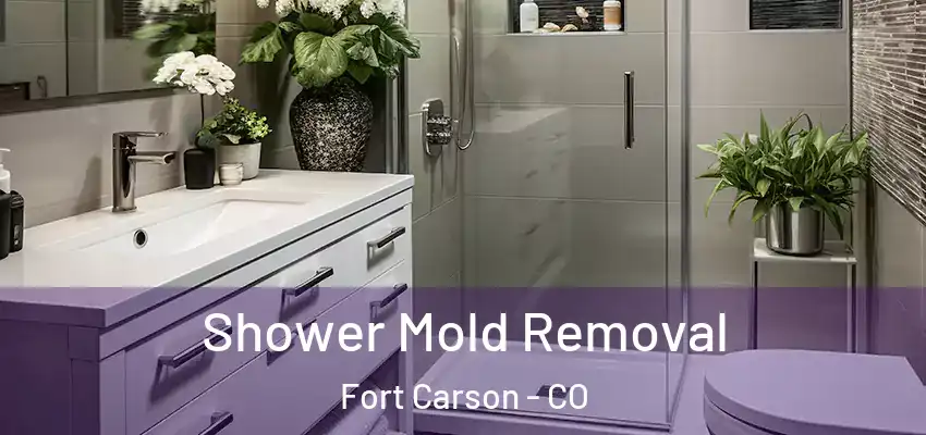  Shower Mold Removal Fort Carson - CO