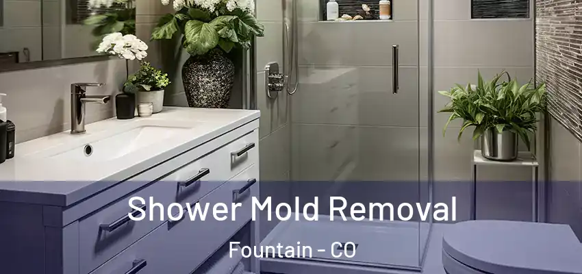  Shower Mold Removal Fountain - CO