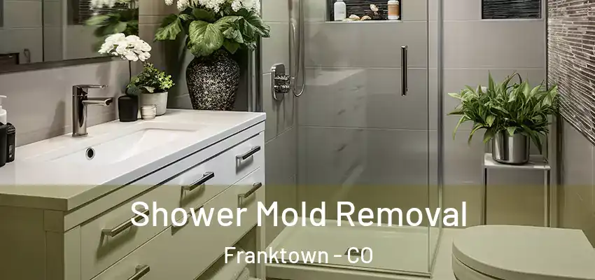  Shower Mold Removal Franktown - CO