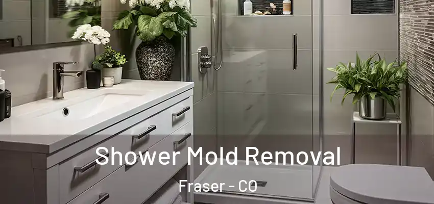  Shower Mold Removal Fraser - CO
