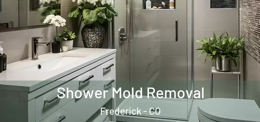  Shower Mold Removal Frederick - CO