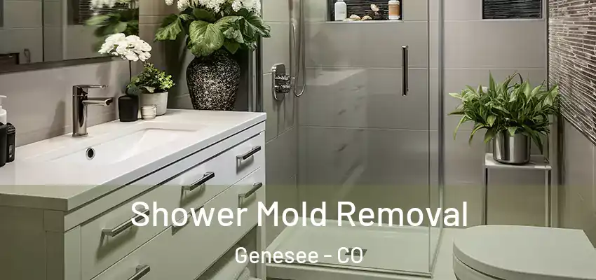  Shower Mold Removal Genesee - CO