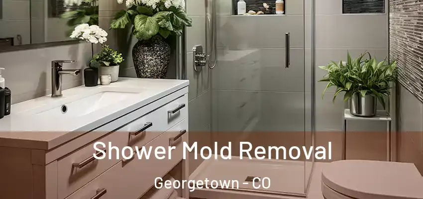  Shower Mold Removal Georgetown - CO