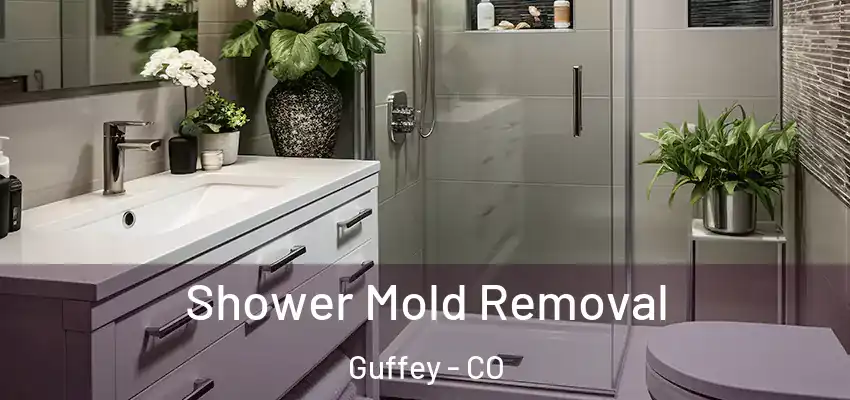 Shower Mold Removal Guffey - CO