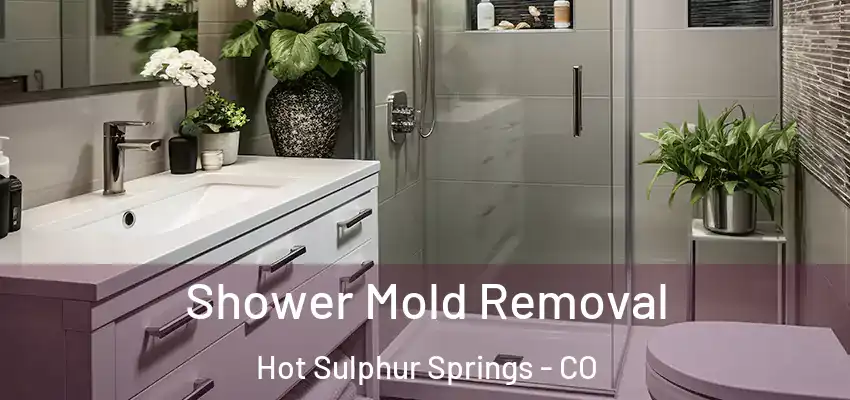  Shower Mold Removal Hot Sulphur Springs - CO