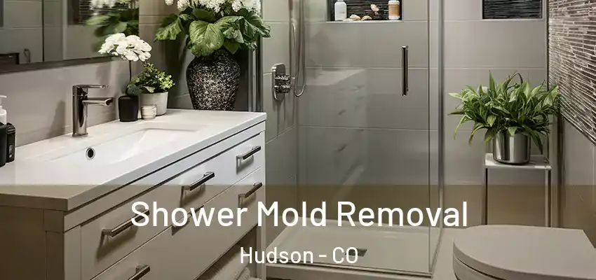  Shower Mold Removal Hudson - CO
