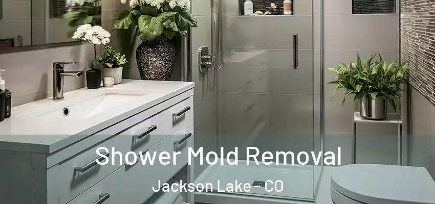 Shower Mold Removal Jackson Lake - CO