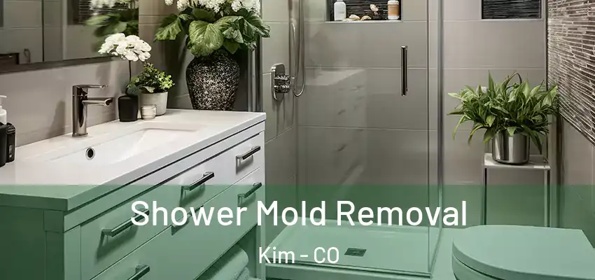 Shower Mold Removal Kim - CO