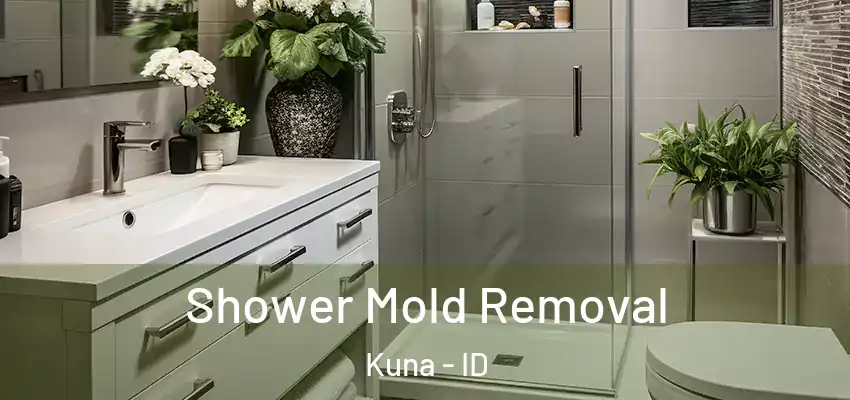  Shower Mold Removal Kuna - ID