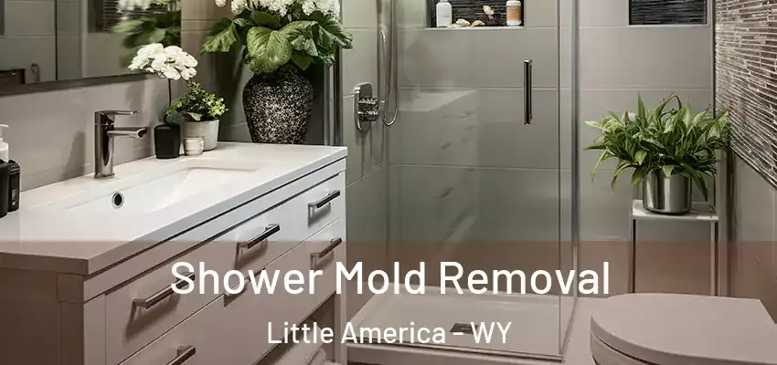  Shower Mold Removal Little America - WY
