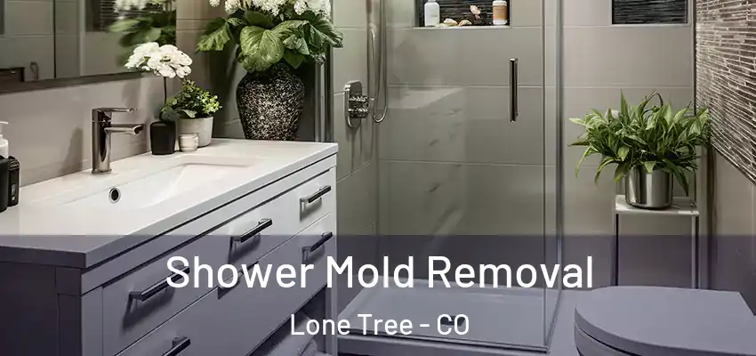  Shower Mold Removal Lone Tree - CO
