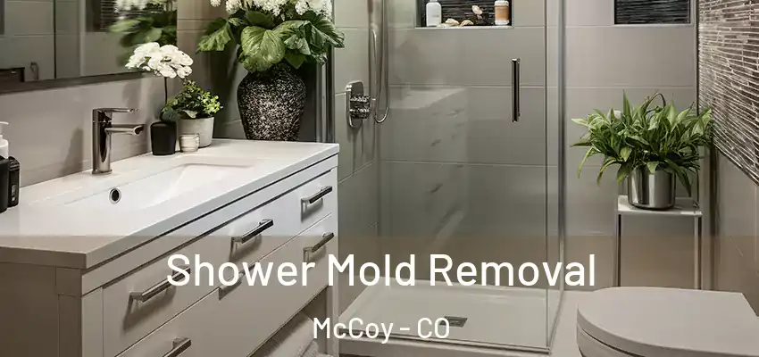Shower Mold Removal McCoy - CO
