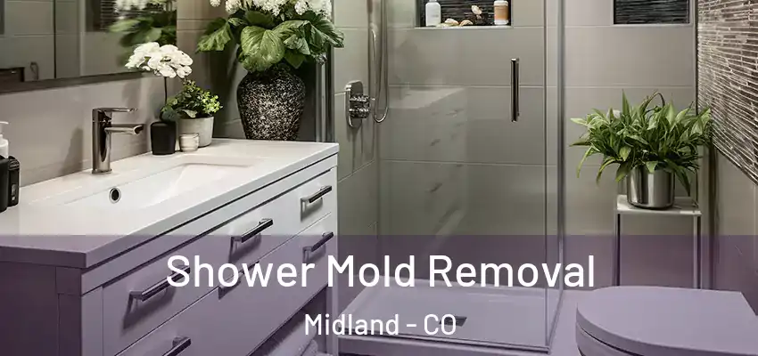 Shower Mold Removal Midland - CO