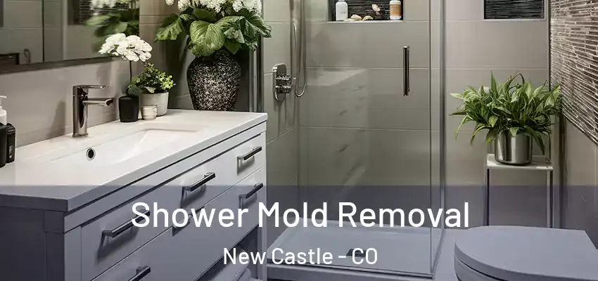  Shower Mold Removal New Castle - CO