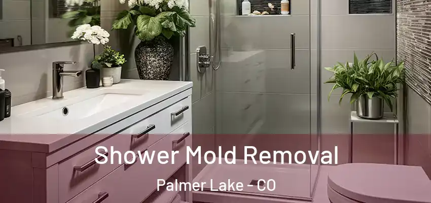 Shower Mold Removal Palmer Lake - CO