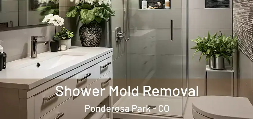 Shower Mold Removal Ponderosa Park - CO