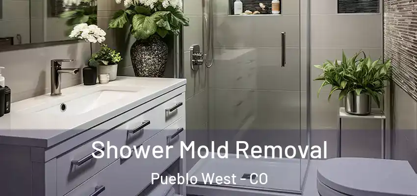  Shower Mold Removal Pueblo West - CO