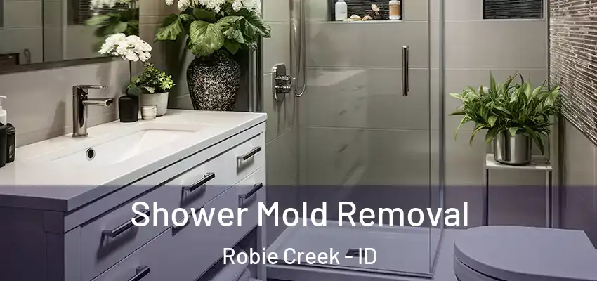  Shower Mold Removal Robie Creek - ID