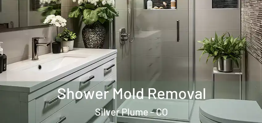 Shower Mold Removal Silver Plume - CO