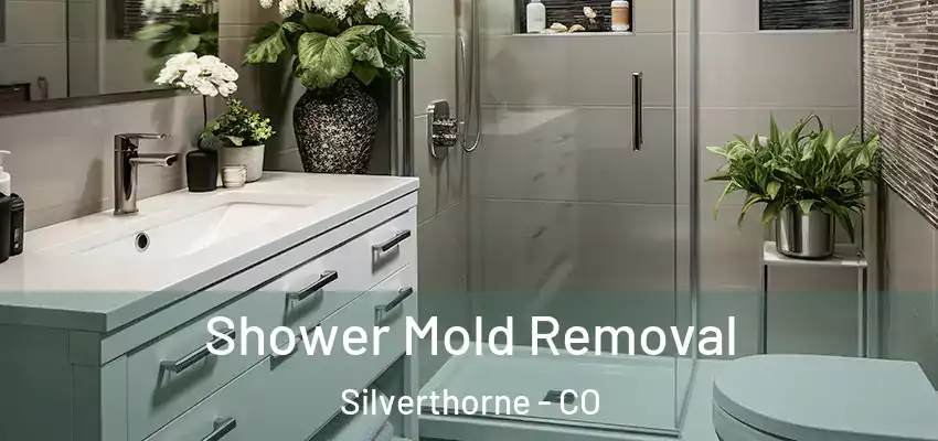 Shower Mold Removal Silverthorne - CO
