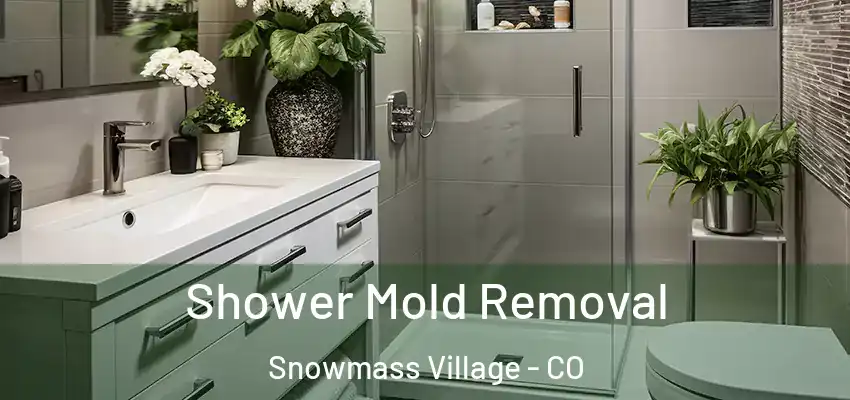  Shower Mold Removal Snowmass Village - CO