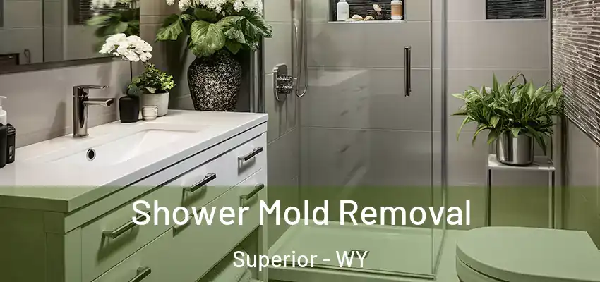  Shower Mold Removal Superior - WY