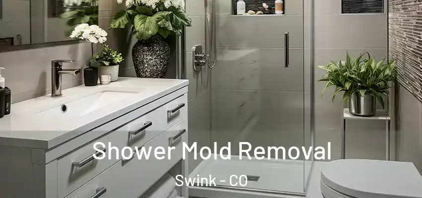  Shower Mold Removal Swink - CO