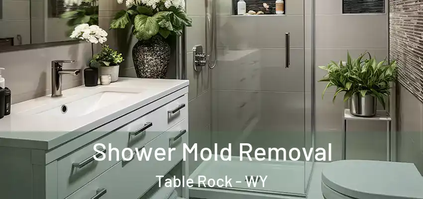 Shower Mold Removal Table Rock - WY