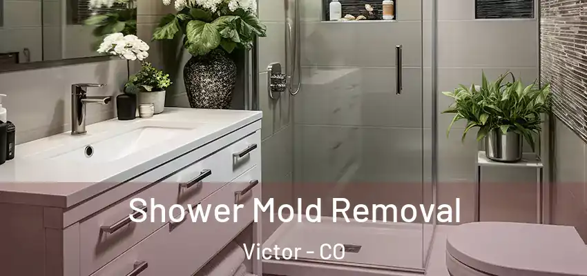 Shower Mold Removal Victor - CO