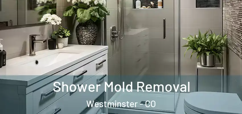  Shower Mold Removal Westminster - CO
