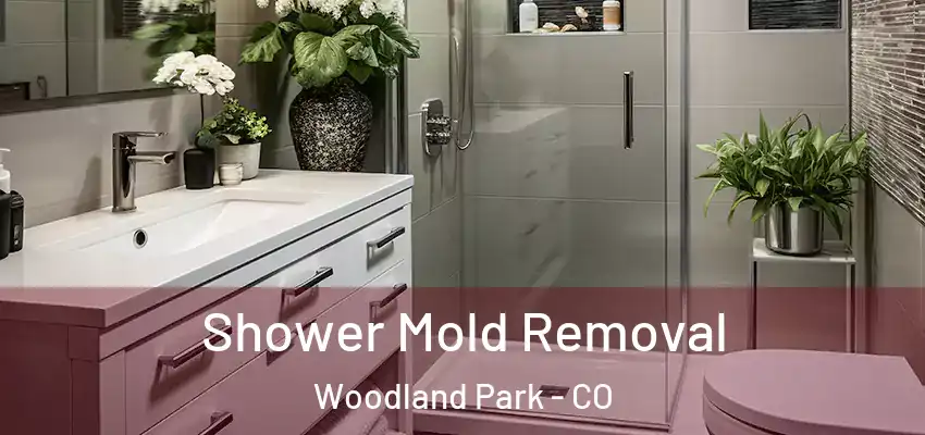  Shower Mold Removal Woodland Park - CO